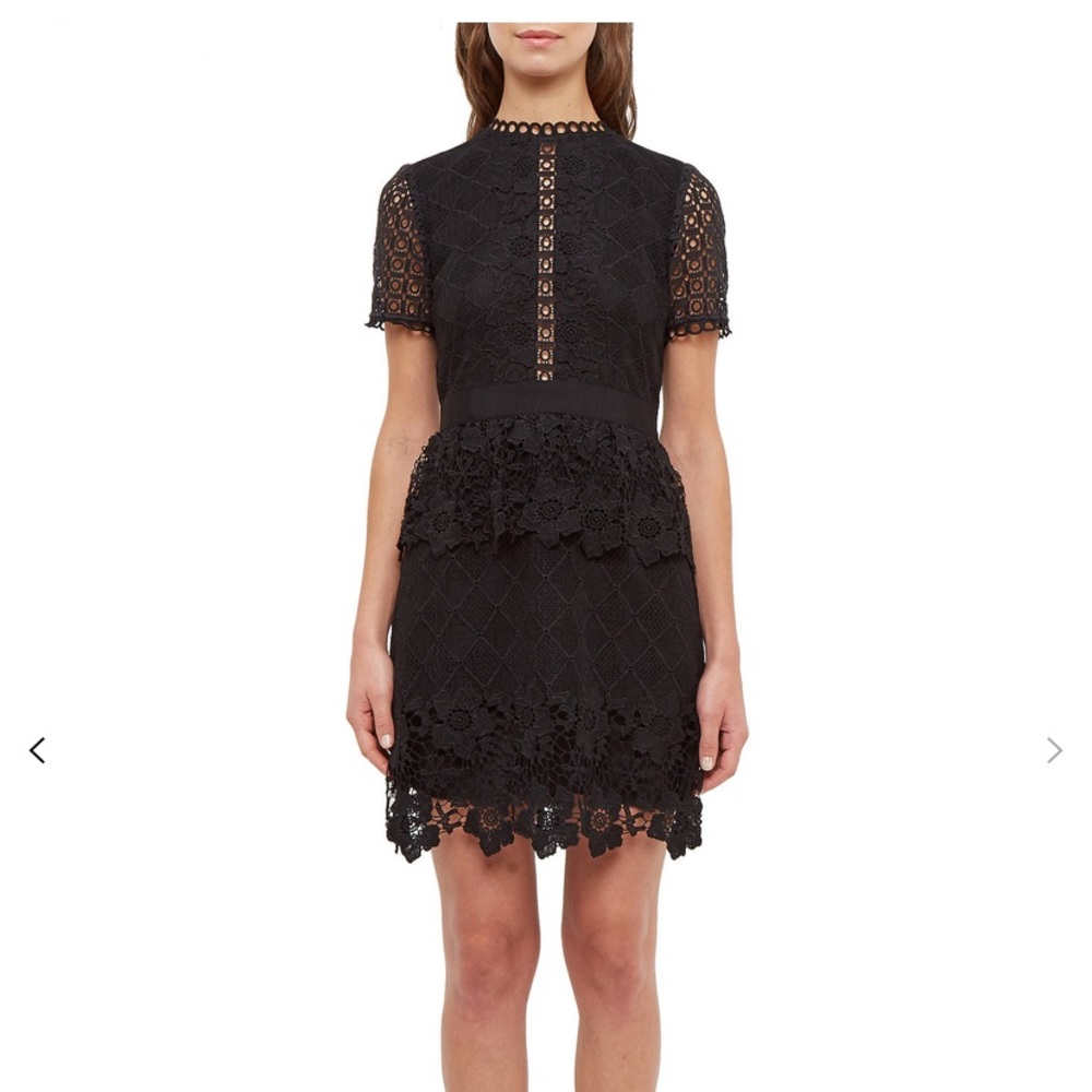 Ted Baker London Dixa Layered Lace Skater dress